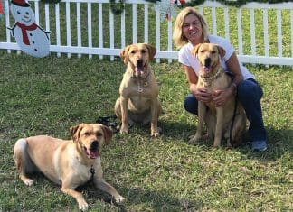 PAWS Faces Critical Funding Crisis – Community Help Needed to Save Shelter Paws K9 Liberty