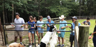 westonwood ranch goats