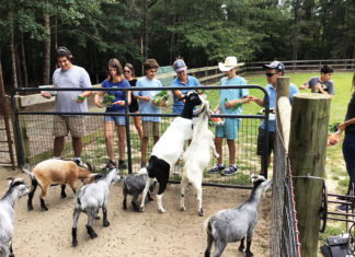 westonwood ranch goats