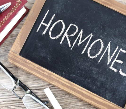 hormone therapy