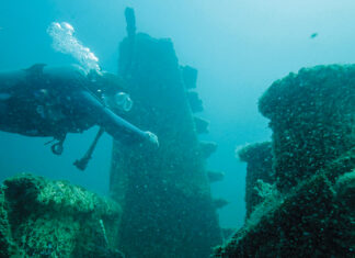 reef diver courtesy fwb destin 2