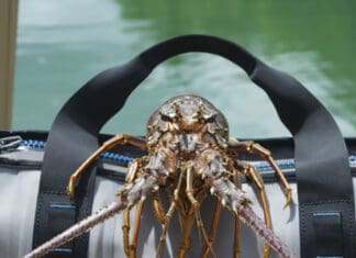 Fishing News