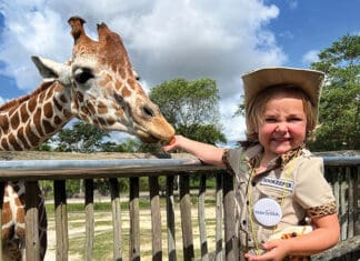 Make-A-Wish (and Watch it Manifest)