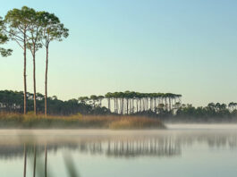 scenic south walton lake