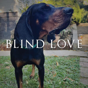 Sean of the South: Blind Love
