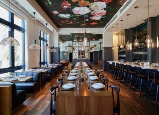 Ovide interior at daytime