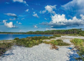 Walton County Offers Complimentary Day-Use Admission to State Parks