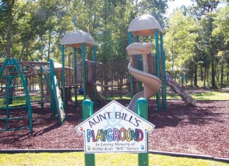 Celebrating 20 Years Helping Children in Crisis Children in Crisis Fort Walton Beach Playground