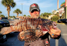 Lionfish