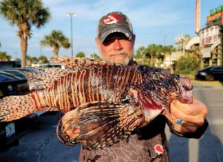 Divers Set New Records at World’s Largest Lionfish Tourney Lionfish