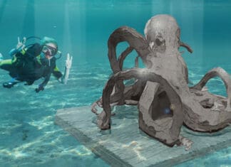 See the Underwater Museum of Art for Free