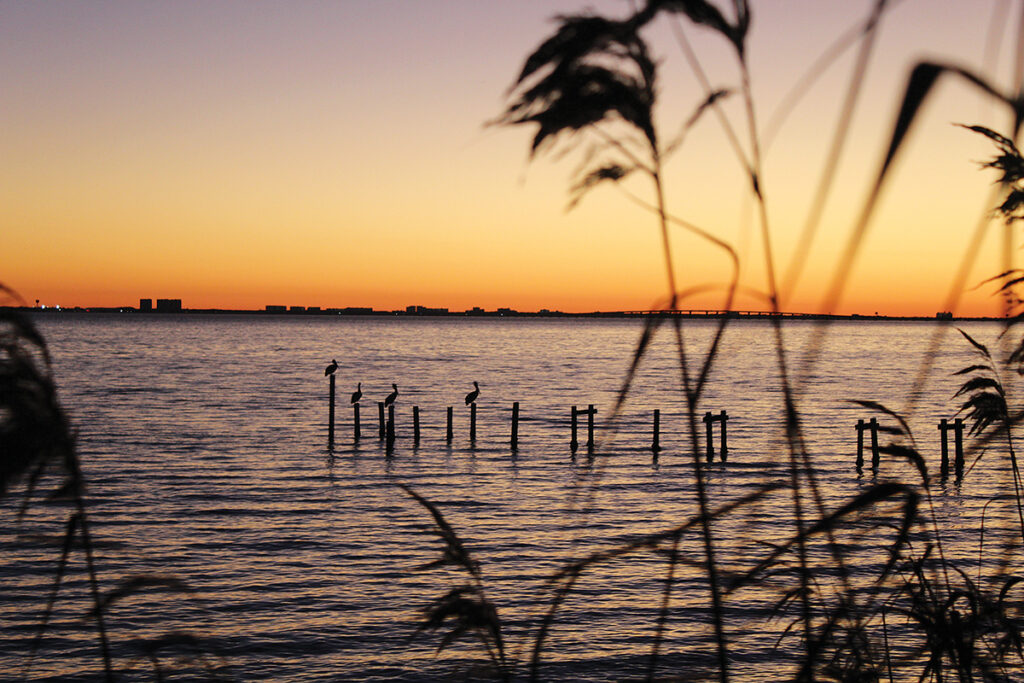 Estuary Program Brings Bay’s Importance to Coastal Residents