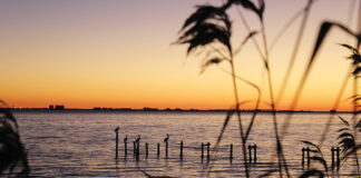 Choctawhatchee Bay sunset