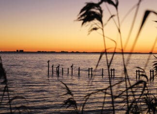 Estuary Program Brings Bay’s Importance to Coastal Residents Choctawhatchee Bay sunset