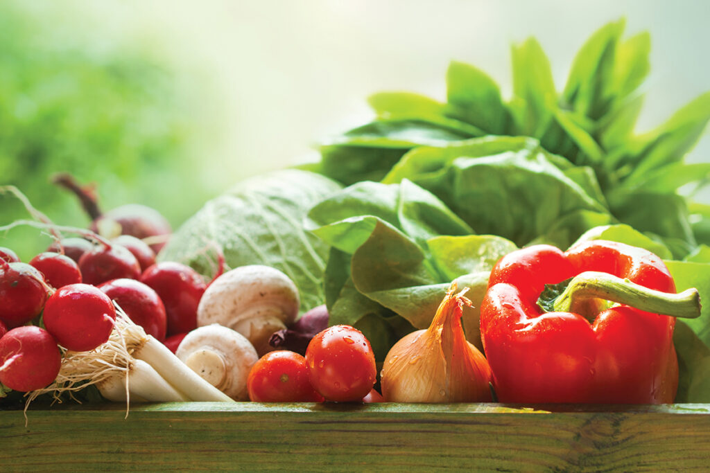 fresh garden vegetables