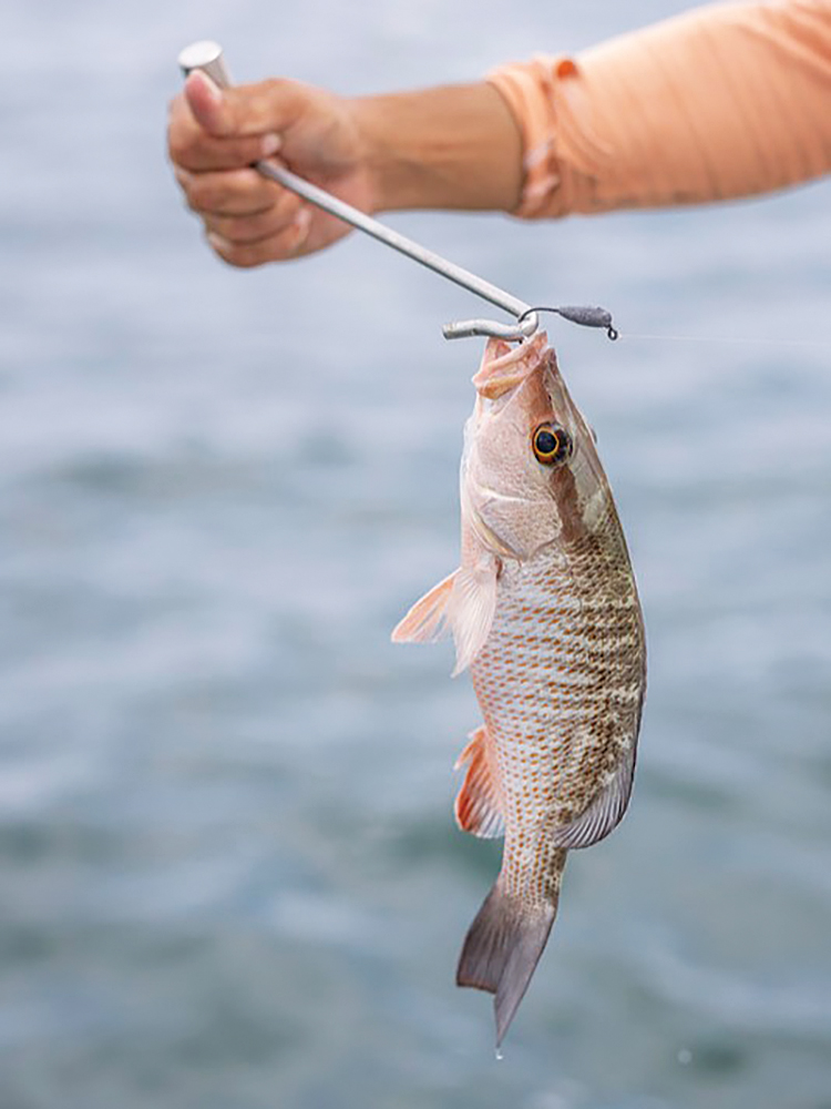 Fish release