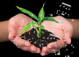 Studio 237 Music Lessons: The Three Elements of Music Lessons – Nurturing Positive Growth Studio 237 Music Lessons art