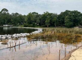 Niceville’s Boggy Bayou Headwaters Restoration to Improve Water Quality & Habitat boggy bayou headwaters