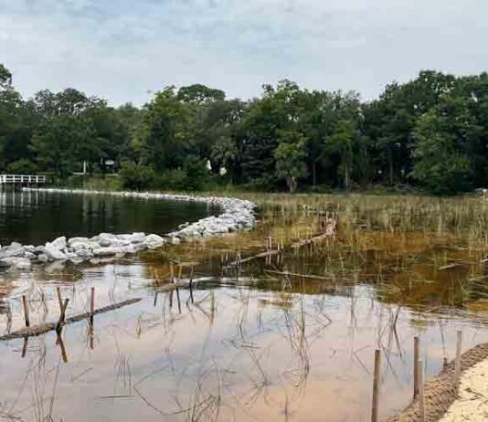 boggy bayou headwaters