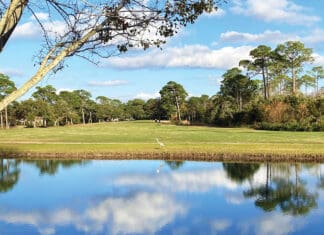 Saving the Green Space Update Preserve Bluewater Bay Golf Course
