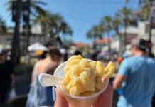 Mac and Cheese Festival