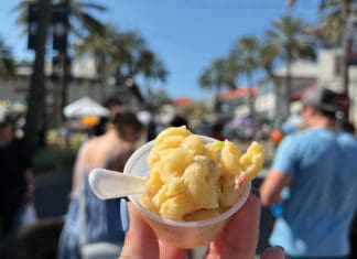 Bay Buzz Events March 2024 Mac and Cheese Festival