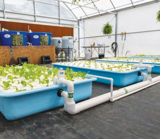 Freeport High School Students Explore Aquaponics