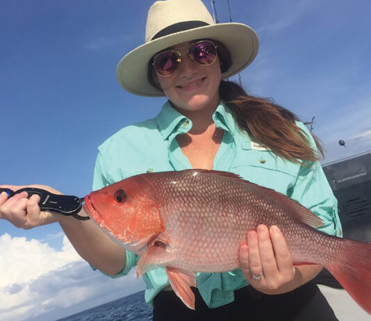 Red Snapper