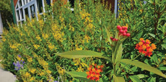 Walton County Master Gardeners Receive Coveted Legacy Award