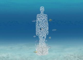 Cultural Arts Alliance and South Walton Artificial Reef Association Reveal Nine Designs Selected For Sixth Underwater Museum Of Art Installation Underwater Museum of Art Mermaid by Raine Bledsoe