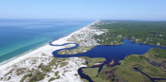 Grayton Beach State Park