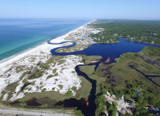 Grayton Beach State Park