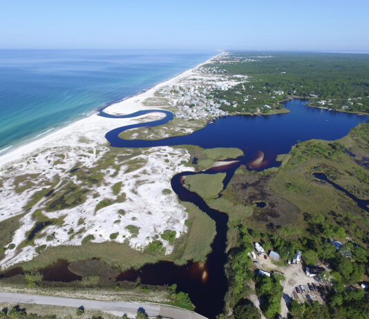 Grayton Beach State Park