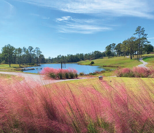 Eagle Springs Golf and Recreation Center