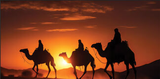 three wise men camels