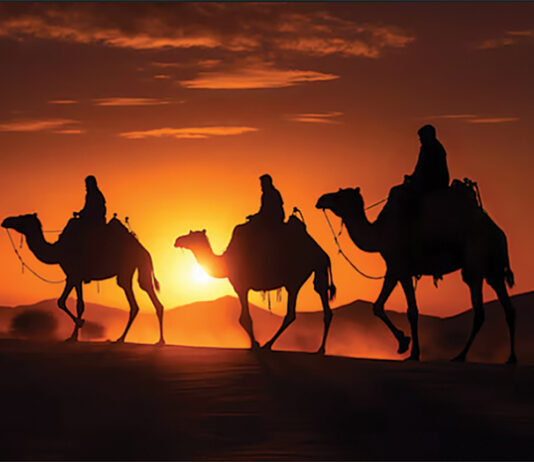 three wise men camels