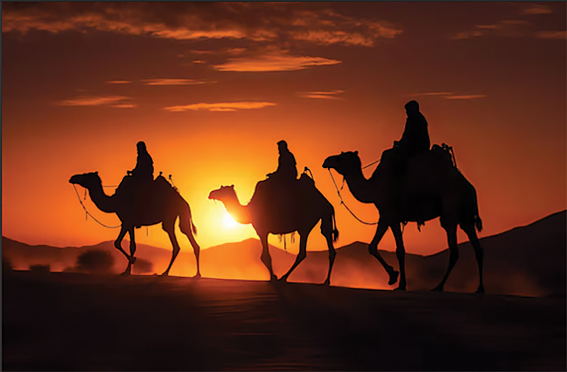 three wise men camels