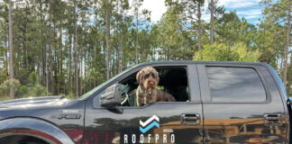 Roofpro truck with dog