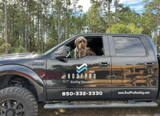 Roofpro truck with dog