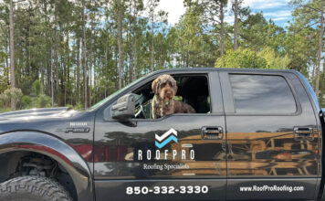 Roofpro truck with dog