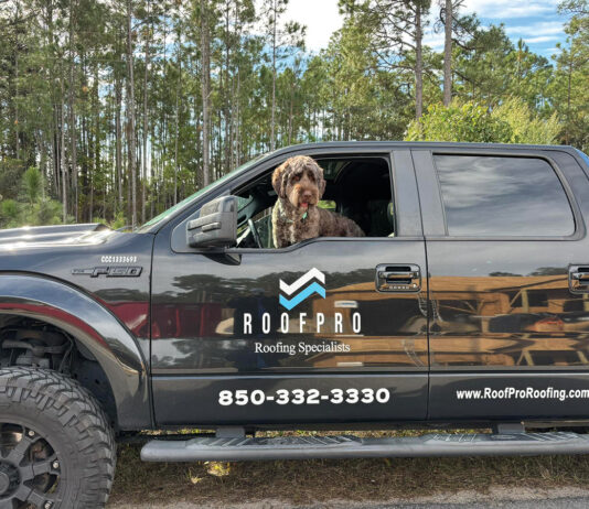 Roofpro truck with dog