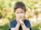 Allergic child sneezing covering nose with wipe in a park in spring or summer season