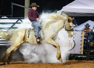 Westonwood Ranch Rodeo