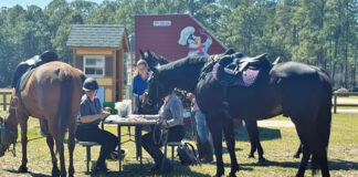 Horse Power Horse Brunch