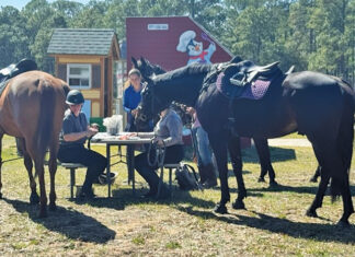 Horse Power Horse Brunch