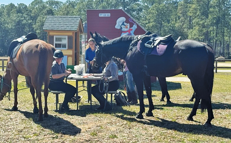 Horse Power Horse Brunch