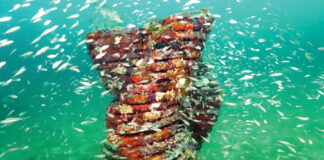 Underwater Museum of Art
