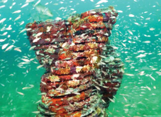 Underwater Museum of Art
