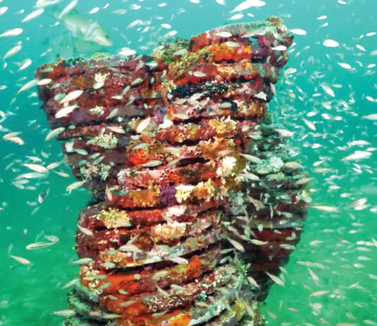 Underwater Museum of Art