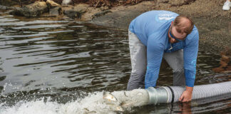 Redfish Release into the Choctawhatchee Bay
